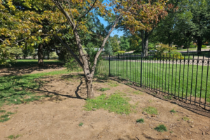 custom wrought iron fencing